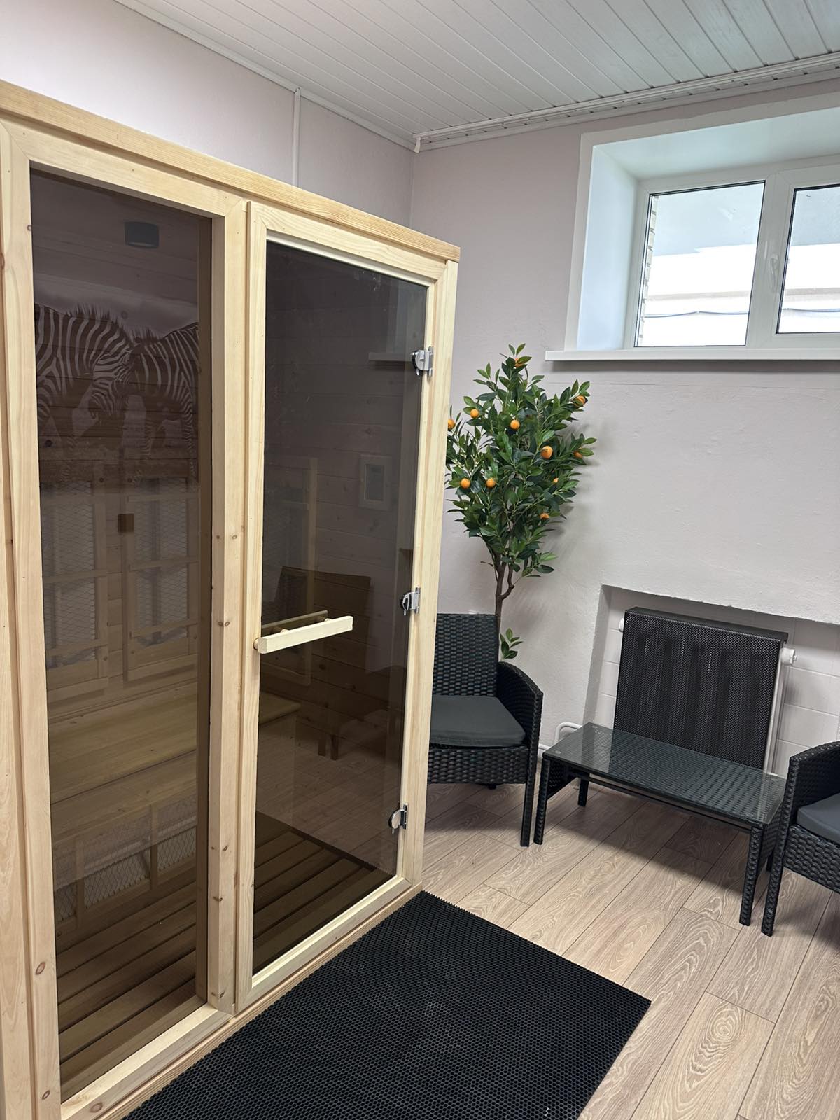 ir sauna3